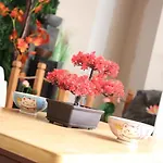 Loveroom Japon Avec Balneotherapie Daire Toulon