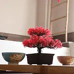 Loveroom Japon Avec Balneotherapie * Toulon