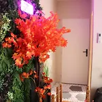 Loveroom Japon Avec Balneotherapie Daire Toulon